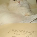 警察なんて怖くないぜ 警察なんて怖くないぜ。へへ~ん