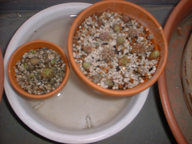 03-02.jpg