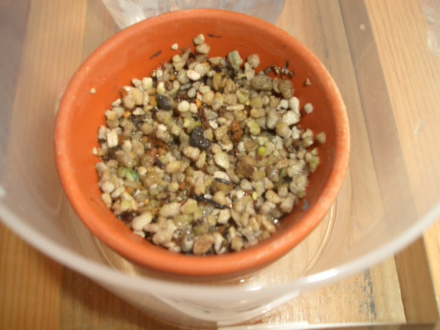 08-03.jpg