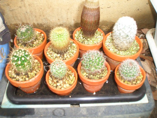 11-03.jpg