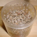 2003年3月8日。サボテン培養土で実生にチャレンジ。プラスチックケースに穴を開けてケースを作ってみた。 2003年3月8日。サボテン培養土で実生にチャレンジ。プラスチックケースに穴を開けてケースを作ってみた。