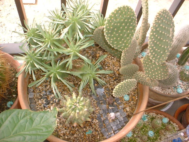 05-02.jpg