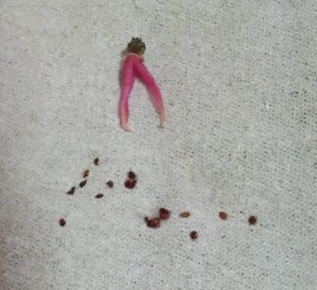 13-10m.jpg