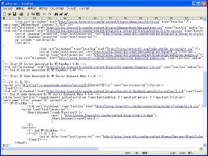 WordPress Head Cleaner使用後