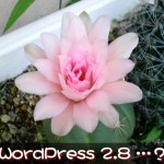 WordPress 2.8でShadowbox JSとHead Cleanerの動作をチェック