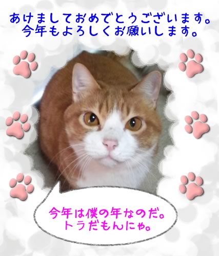 A Happy New Year !! A Happy New Year !!