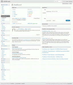 WordPress 3.0 ベータ1 WordPress 3.0 ベータ1